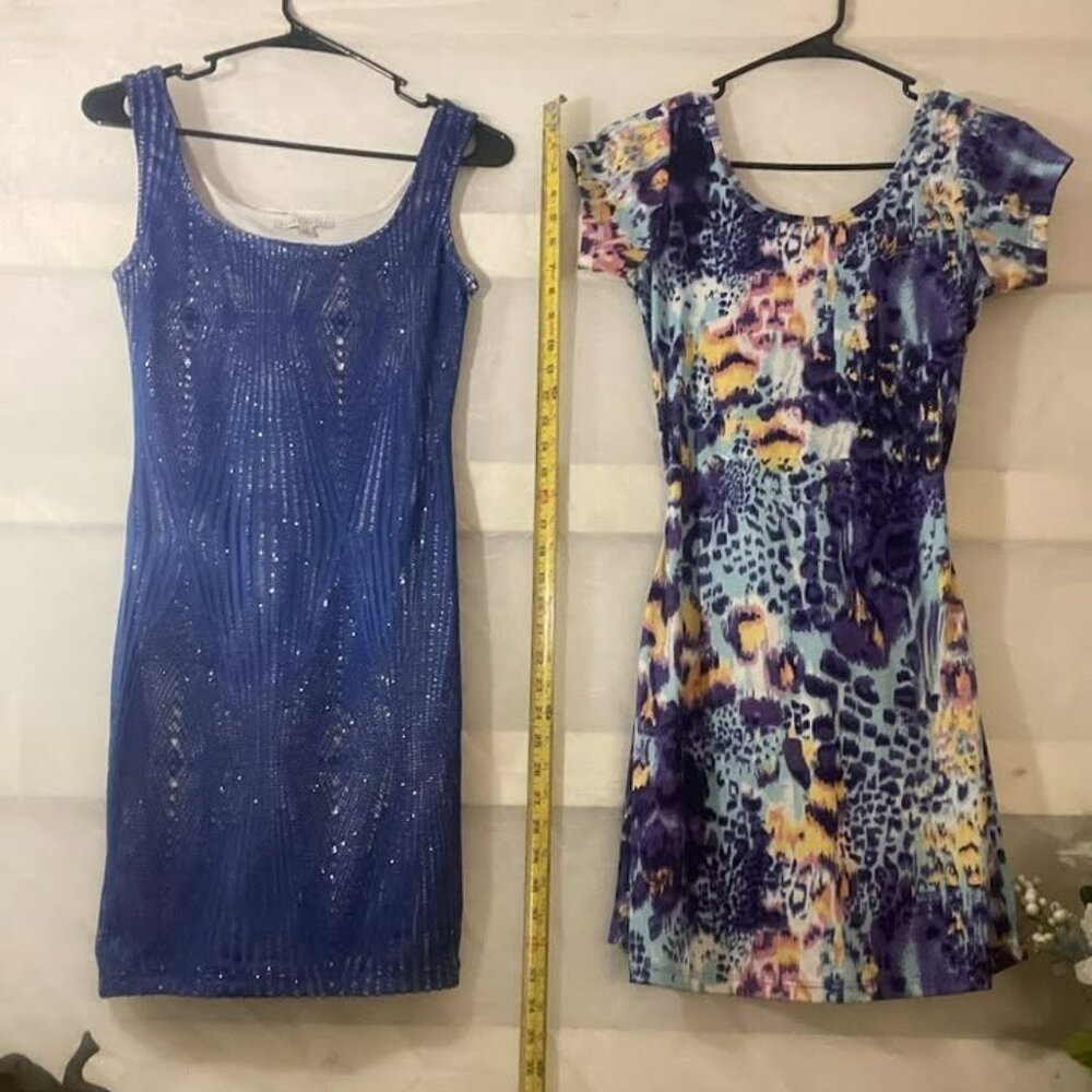 Haunte Monte & Unknown small/medium dresses